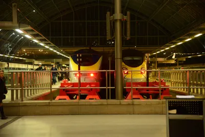 DSC_0700 (Large).JPG